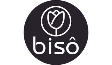 BISO 380X220
