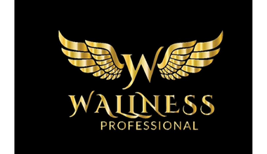 WALLNESS PROFESSIONAL