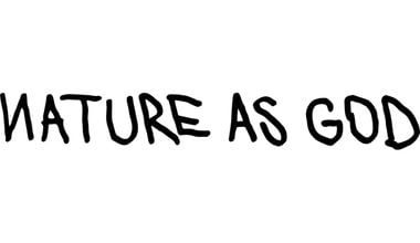NATURE AS GOD  380X220