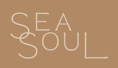 SEA SOUL 380X220
